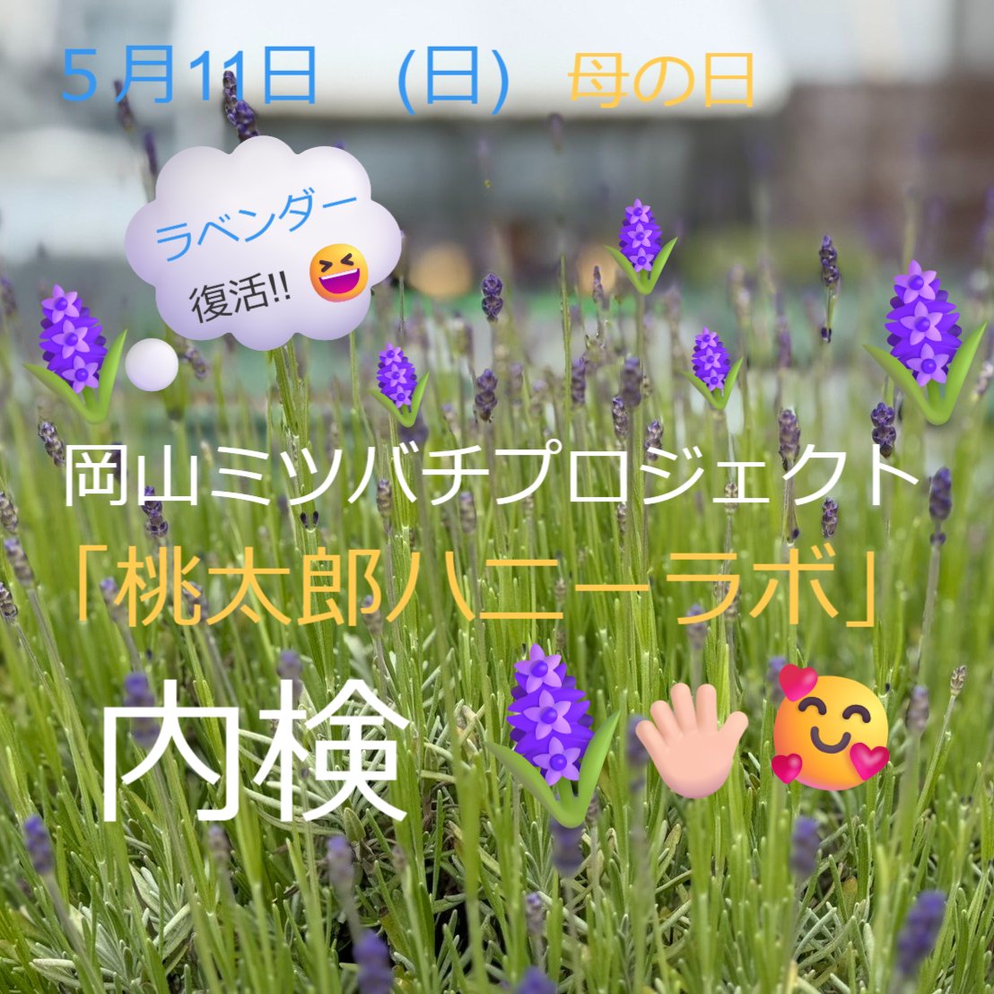 こんにちは!
おかやまミツバチプロジェクト
「桃太郎ハニーラボ」です👋😁
今回は 🪻
5月11日 日曜日(母の日) に行いました
「内検」の模様をお送りいたします。😊
🟦緊急告知🟨
次回
第2回「採蜜体験会」🍯🐝~👩🚀🧑🚀
株式会社 タイム 様の ご協力で
(ホームセンターTime)
🍠「サツマイモ」🌱苗植え会を同時開催いたします 🍠
場所: 第一セントラルビル 屋上 ハニーラボ
時