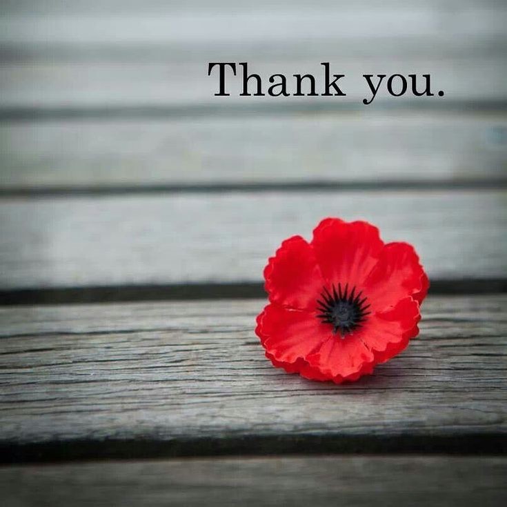 Today is a very important reminder of what those young Canadians fought for. They sacrificed their lives so we could live with freedom. The amount of respect and gratefulness is impossible to ever put into words. Thank you to all our vets! 🙌