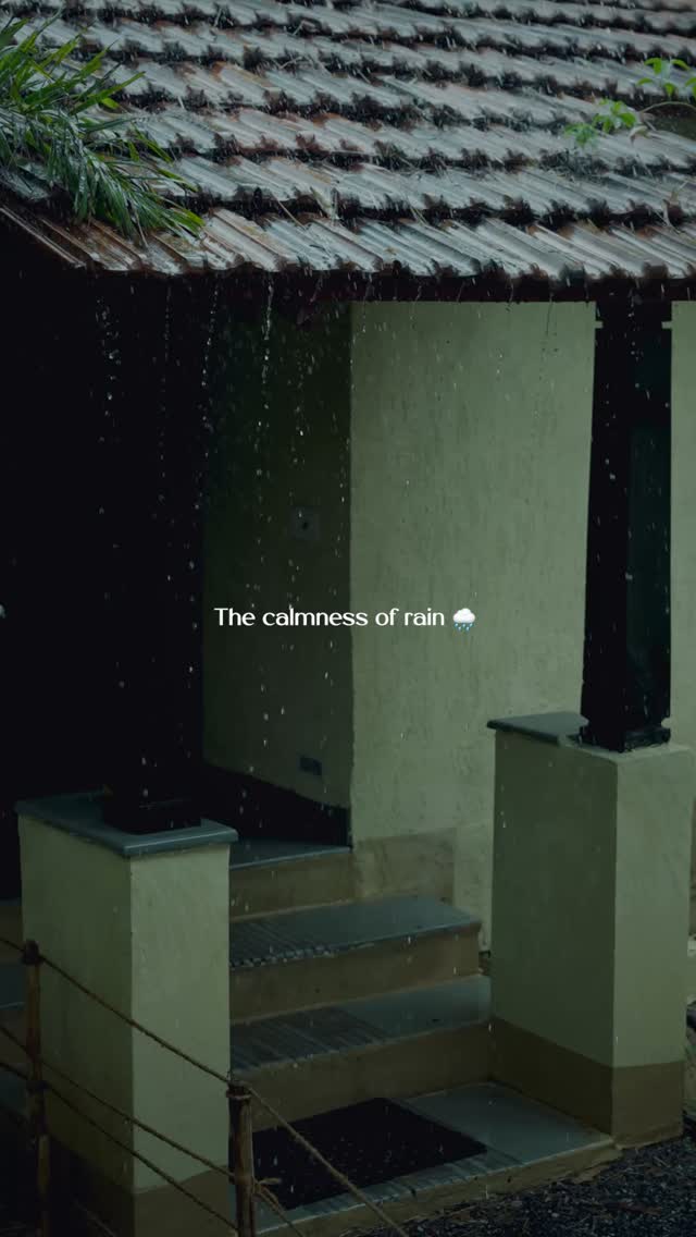 When the rains arrive in Satpura, everything slows down, and somehow, everything awakens!
The air thickens, the leaves gleam with life, and silence is broken only by the rhythm of falling rain.
At Forsyth, the monsoon is just a time for stillness, deep breaths, and watching the forest restore itself, one drop at a time.
#monsoonatforsyth #satpura #rainwatching #forestretreat #forsythlodge #naturetherapy #greenescape #beyondtheusual