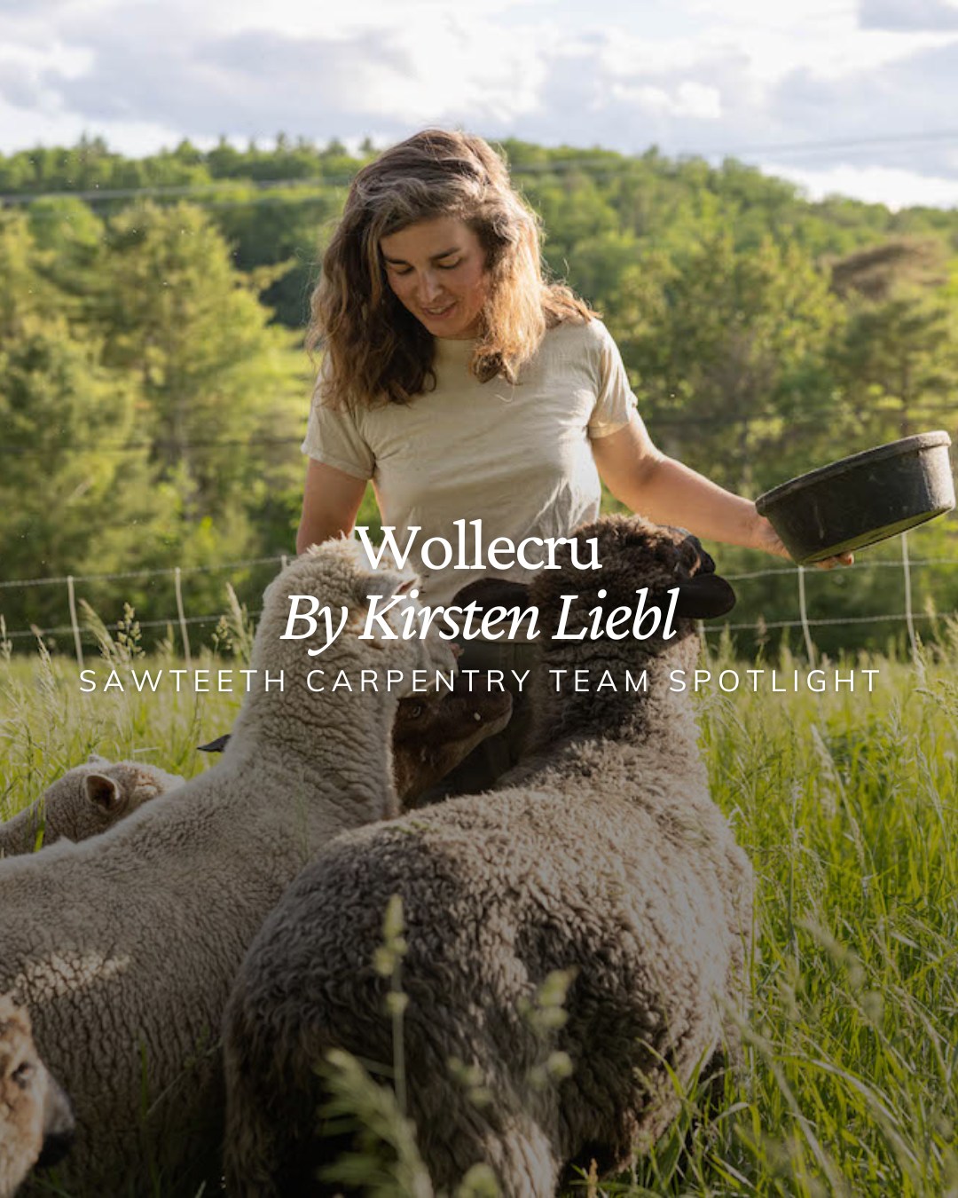 With spring nearing closer and closer, we’re celebrating the season of growth by highlighting one of our incredible team members, Kirsten, and the inspiring work she does beyond the jobsite. 🌿🐑
Kirsten owns and operates Wollecru, a diversified farm where sheep, orchard, vineyard, woods, and pastures work in harmony to create a thriving ecosystem. Through careful stewardship and a deep respect for biodiversity, Kirsten weaves together land, animals, and plants to produce wool textiles, naturally dyed yarn, botanical drinks, and more—each product rooted in sustainability and care.
Each spring, just before lambing, her sheep are shorn and the wool is transformed into yarn that’s dyed using plants grown on the farm—resulting in stunning, landscape-inspired colors. From weaving wool blankets to cultivating flowers, fruit, and wine grapes, Kirsten’s farm is a true reflection of nature’s abundance.
We’re so proud to have her on the Sawteeth team—bringing the same thoughtfulness, creativity, and care to every project she touches.
Here’s to spring, renewal, and the people who make our work better—both on and off the job. 🌸
#SawteethCarpentry #TeamSpotlight #SpringIsComing #Wollecru #LocalFarms #SheepToTextile #NaturalDyes #BiodiversityMatters #VermontFarms #SustainableLiving