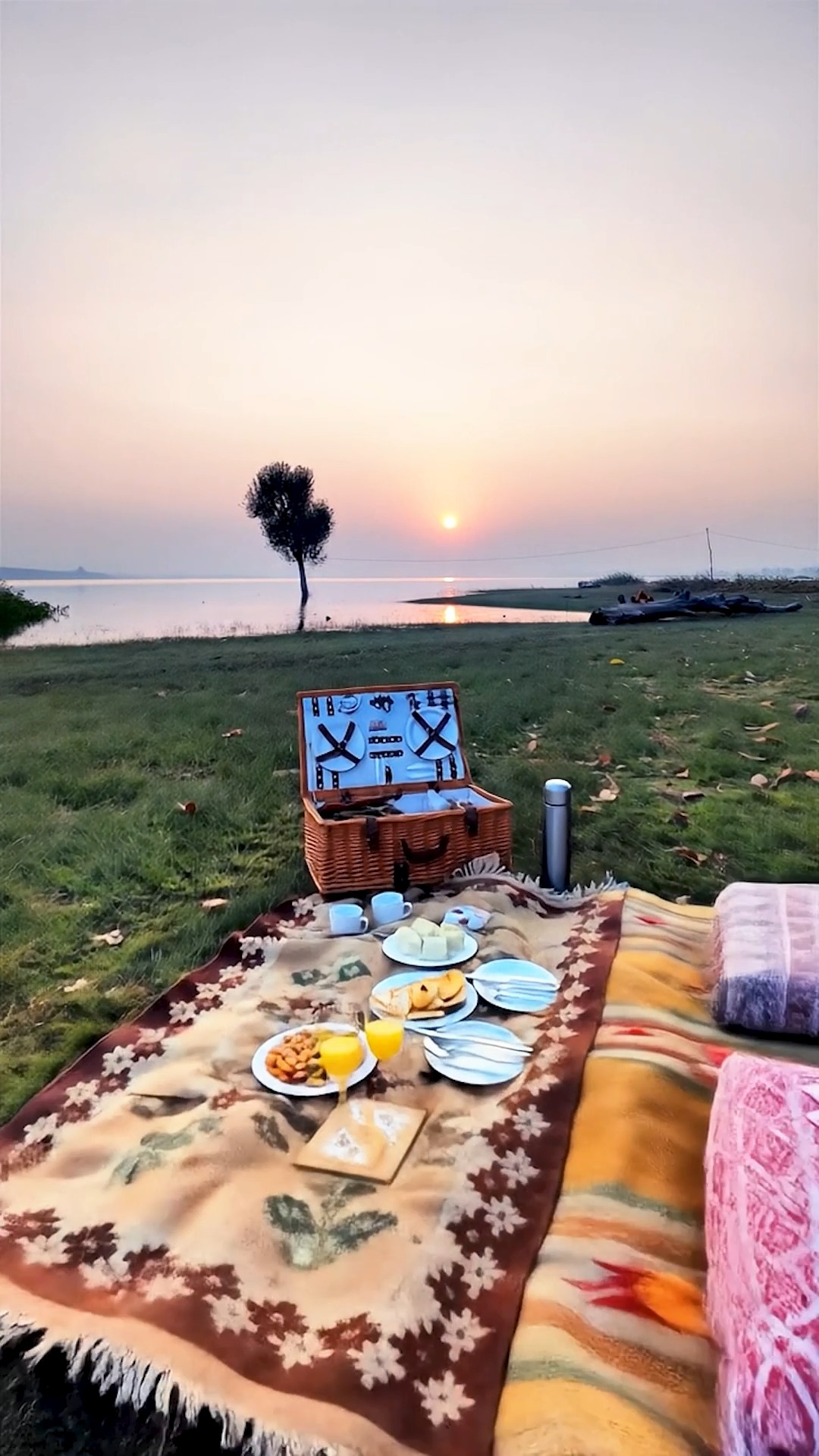 Sometimes, all you need is a warm cup, good company, and a view worth remembering.
At Forsyth, we believe your surroundings feed the soul just as much as the food.
Every set-up is a chance to slow down, tune in, and take it all in.
Come find your forest perch.
#forsythlodge #satpura #wildliferetreat #foreststay #hiteasetup #slowtravel #naturemoments #breakfastwithaview #monsoonmoods #safarilife