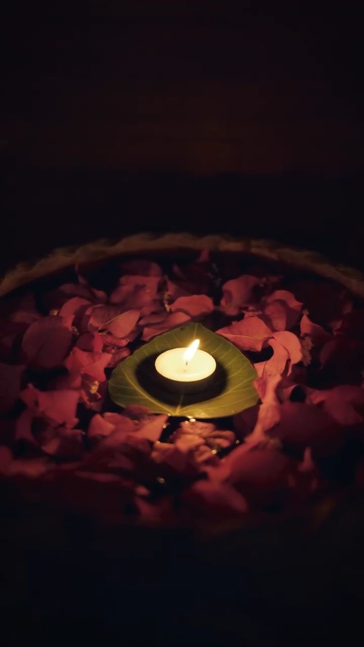 A pause tucked deep in the forest.🍃🌸
Here, time slows.
The scent of oils, the hush of trees, the gentle rhythm of healing hands.
You deserve this kind of stillness. 🌿
Come find it at Forsyth Lodge.
#spa #wellness #relax #selfcare #mindfulness #relaxation #nature #foresttherapy #retreat #travel #resort #Satpura #ForsythLodge