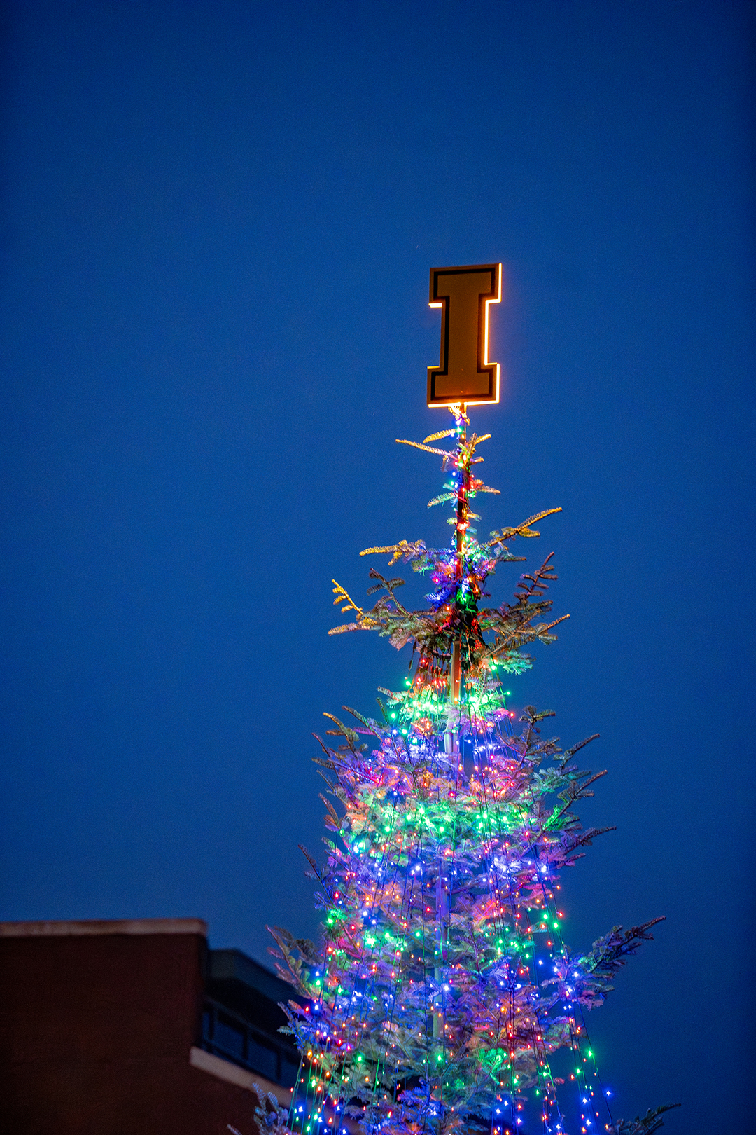 Here's hoping you made the nice list. 🎅🎁
#GoVandals #UIdaho #Holiday #VandalFamily