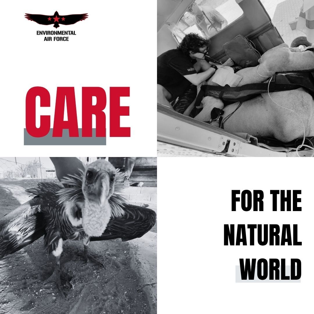 “Care for the natural world.
Not only care for the natural world, but treat it with a degree of respect and reverence…the future of the natural world is in our hands.
In our daily lives, the thing I really care for…
is not to waste the riches of the natural world on which we depend.
Don’t throw away food, or throw away power,
just care for the natural world, of which we are a part.”
– Prince William, the Duke of Cambridge.
#bateleurs #conservation