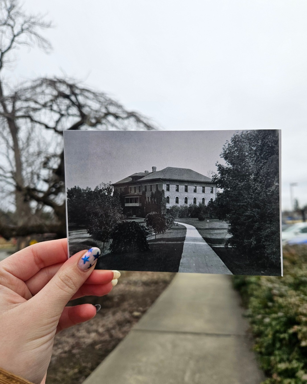 Then and now: Ridenbaugh 1901/2025 🏠🎶
Ridenbaugh Hall started as student housing that was also used for domestic science classes over the years. As it stands now, the hall is home to a student art gallery and band practice rooms.
📸 Photo courtesy of the @uofilibrary archives.
#UIdaho #ThenAndNow