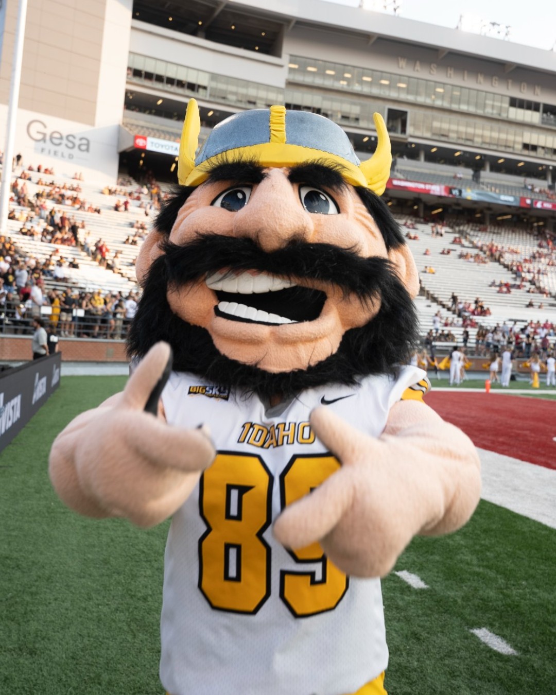 Joe Vandal's camera roll in honor of National Joe Day. ✌️🖤
#JoeDay #VandalSpiritFriday #GoVandals #BestMascot